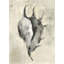 Seashells In Neutral IV Print by Guseul Park-26938919-26938924