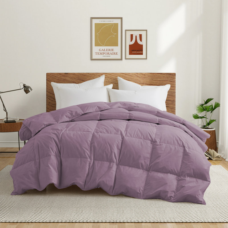 White Goose Feather Fiber Comforter with 100% Cotton Cover All Season Duvet Insert, Dusty Mauve, Twin