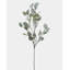 Faux Eucalyptus Branch