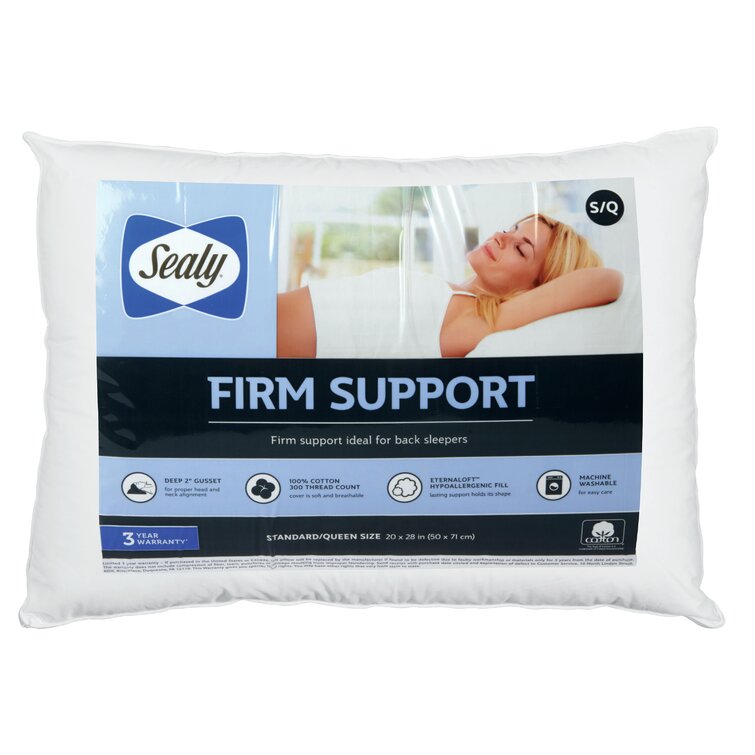 https://assets.wfcdn.com/im/99025579/resize-h755-w755%5Ecompr-r85/5270/52701874/Firm+Support+Bed+Pillow.jpg