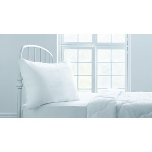 Therapy Free Pillow