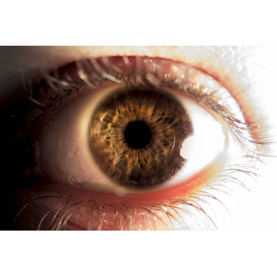 Close-Up Of Human Eye by Vic0429 - Wrapped Canvas Print