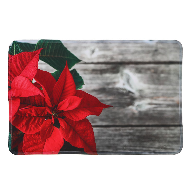 Tapis de porte d'intérieur 24 po x 16 po Andan