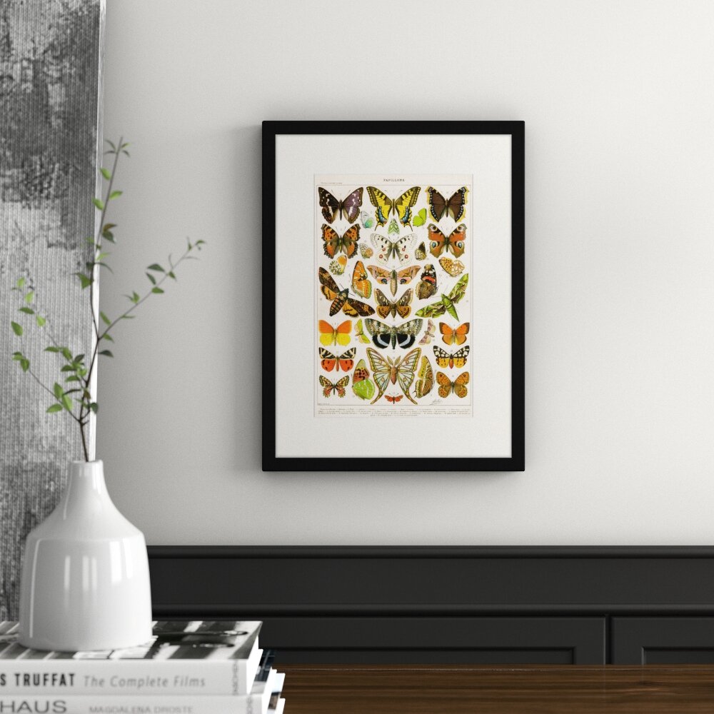 Gerahmtes Poster Retro-Illustration Schmetterling 2, Grafikdruck