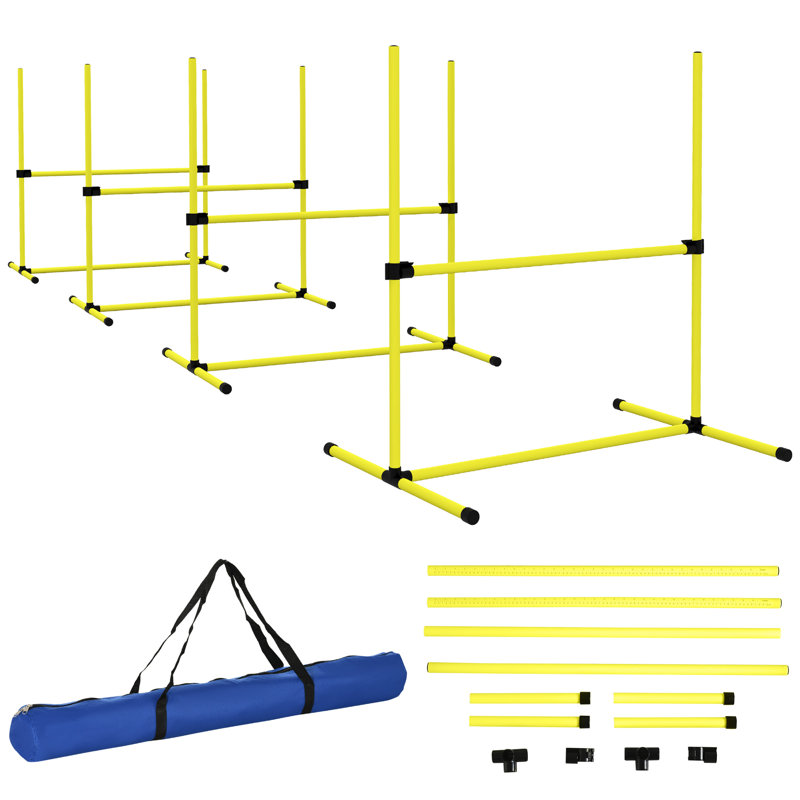 Ensemble de cours pour chien, Jaune