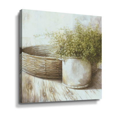 Potted Plant And Basket " Potted Plant And Basket "