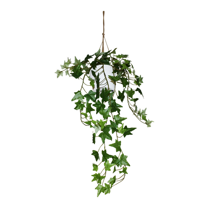 Plante de lierre artificiel de 66 cm en pot de céramique, plante d'intérieur suspendue, Green