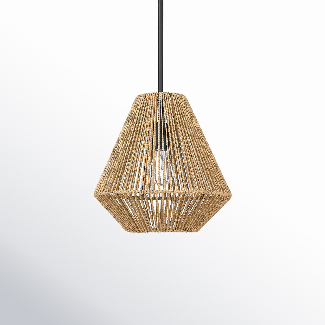 Simon 1 - Light Matte Black Single Pendant Joss & Main