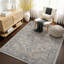 Casanova Oriental Area Rug-972542394