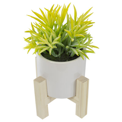 Plante grasse artificielle en pot 8 po avec support en bois
