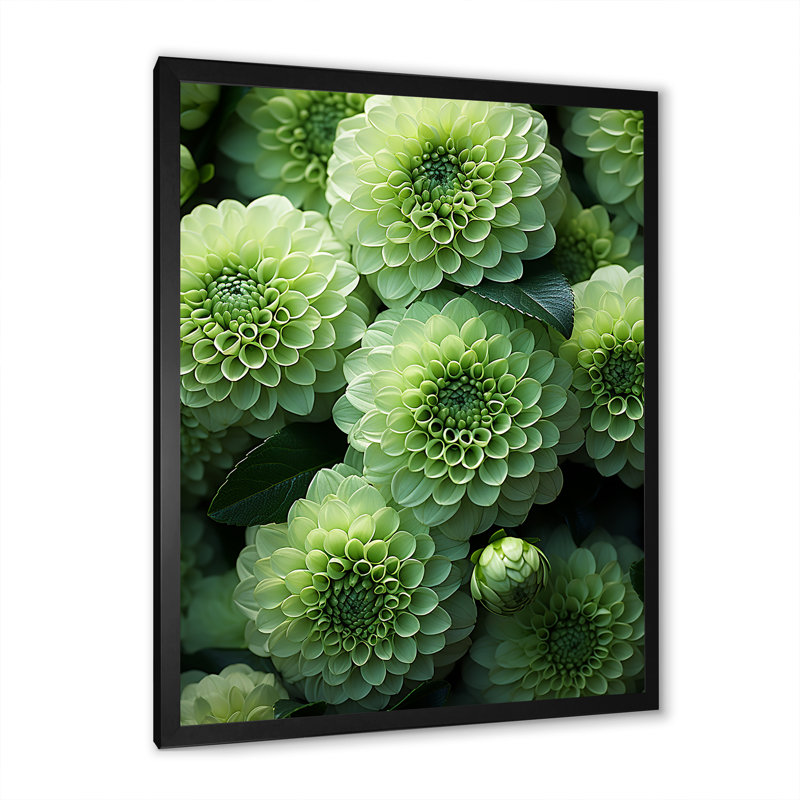 Zinnias vert crépuscule I, Cadre simple noir, H 40 po x l 30 po x P 1,5 po