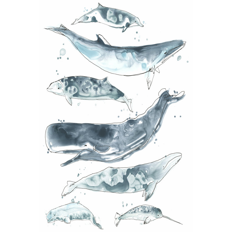 Cetacea II by June Erica Vess - Wrapped Canvas Art Prints, 46cm H x 30cm W x 3.8cm D