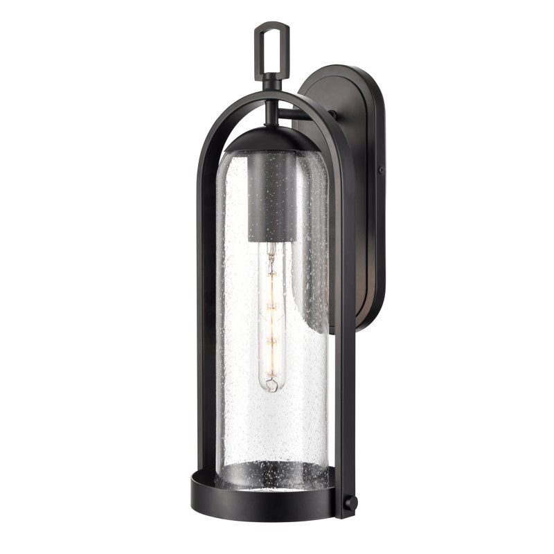 Amberlie 1-Light Outdoor Wall Sconce - Powder Coated Black, 20" H x 8.25" W x 8.5" D