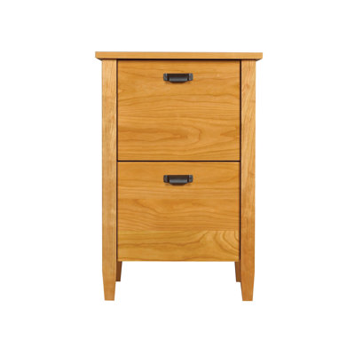 Preston 2-Drawer Vertical Filing Cabinet by Spectra Wood