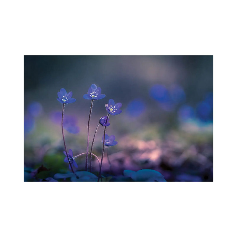 Trio by Lauri Lohi - Wrapped Canvas Print, 20.32 cm H x 30.48 cm W