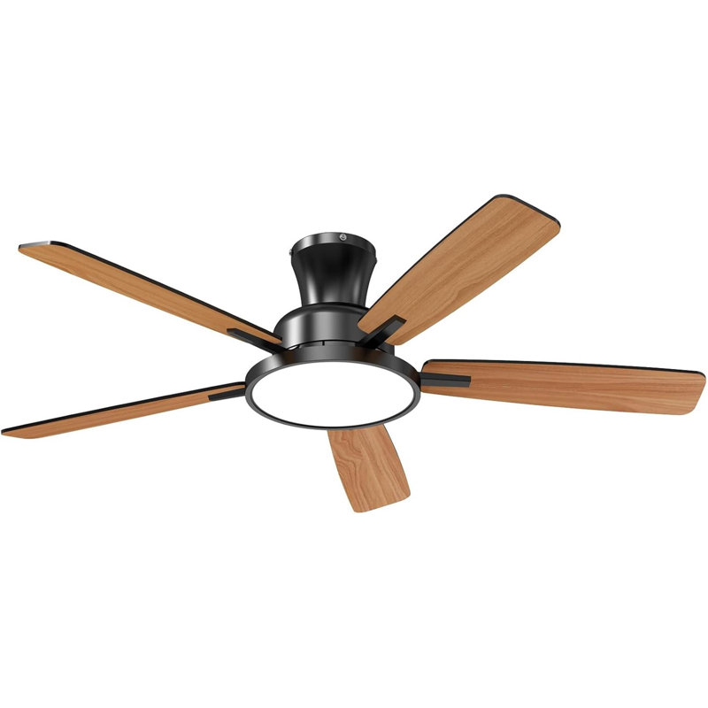 Low Ceiling Fan With Night Light