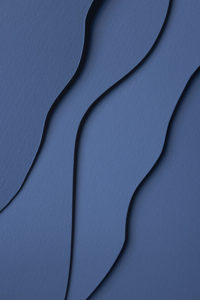 Ivy Bronx Paper Studies 26 | Wayfair.co.uk