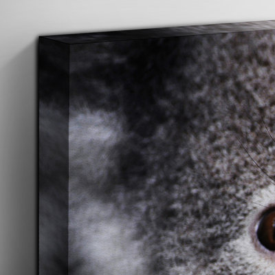 Koala Bear - Wall Art