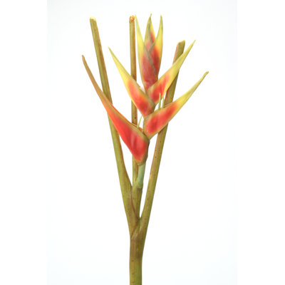 Arrangement