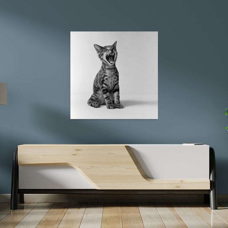 Art de chat rétro des années 1960, H 36 po x l 36 po