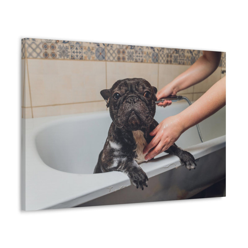 Wall Art on Canvas, 40.64cm H x 50.8cm W