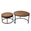 Emma 2 Piece Coffee Table Set