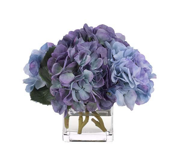 Hydrangea, Blue, Glass Cube, 11wx10dx10h
