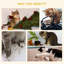Aubree 57cm H Cat Tree