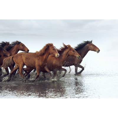 Herd of wild horses Wall Art on Canvas