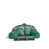 Palmier vert tropical