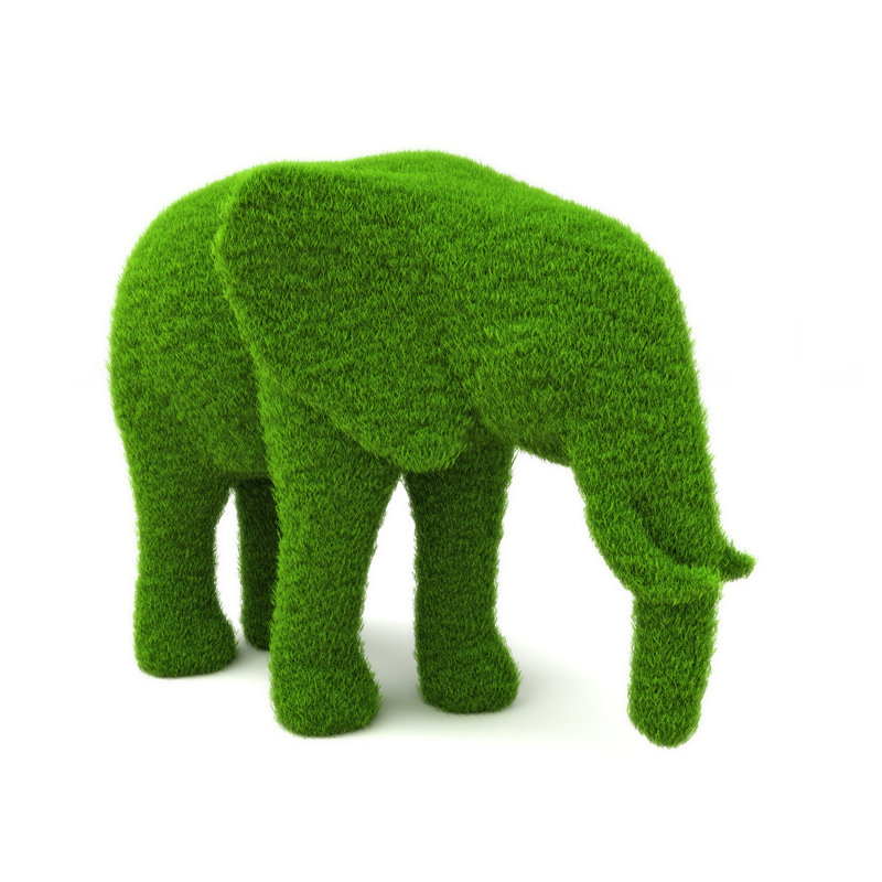 " Elephant Hedge ", 30" H x 30" W x 1.25"D