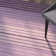 Cruz Hand Loomed Wool/Cotton Striped Rug in Purple/Plum/Lilac/Rose Beige