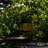 7.4'' Solar Powered Integrated LED Lawn Ornament