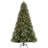 90' Lighted Spruce Christmas Tree