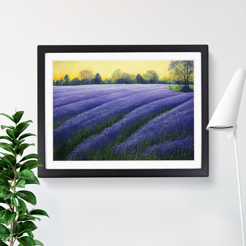 Glorious Bluebell Field - Framed Print, Black, 34cm H x 46cm W x 2cm D