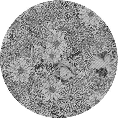 Floral Indoor Rug