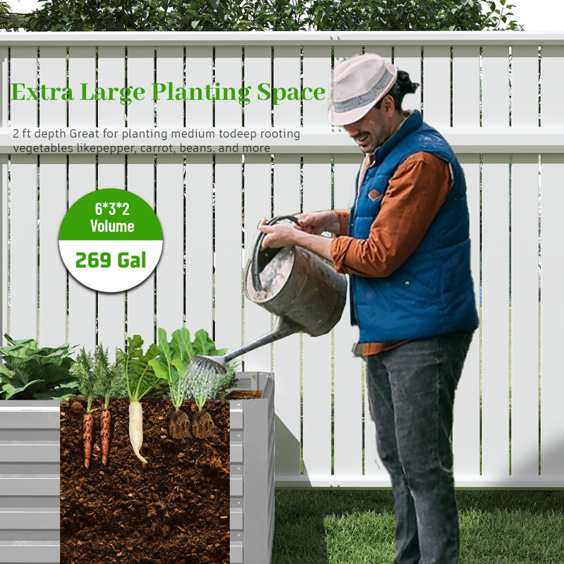 Lit de jardin surélevé en métal, H 24 po x l 72 po x P 36 po, Argent argent