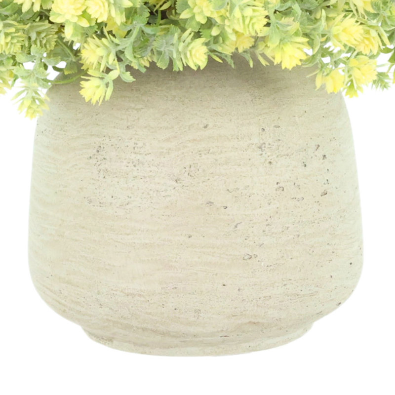 Sedum Bush dans un vase Fiberstone