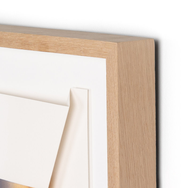 Color Form F Print by David Gray