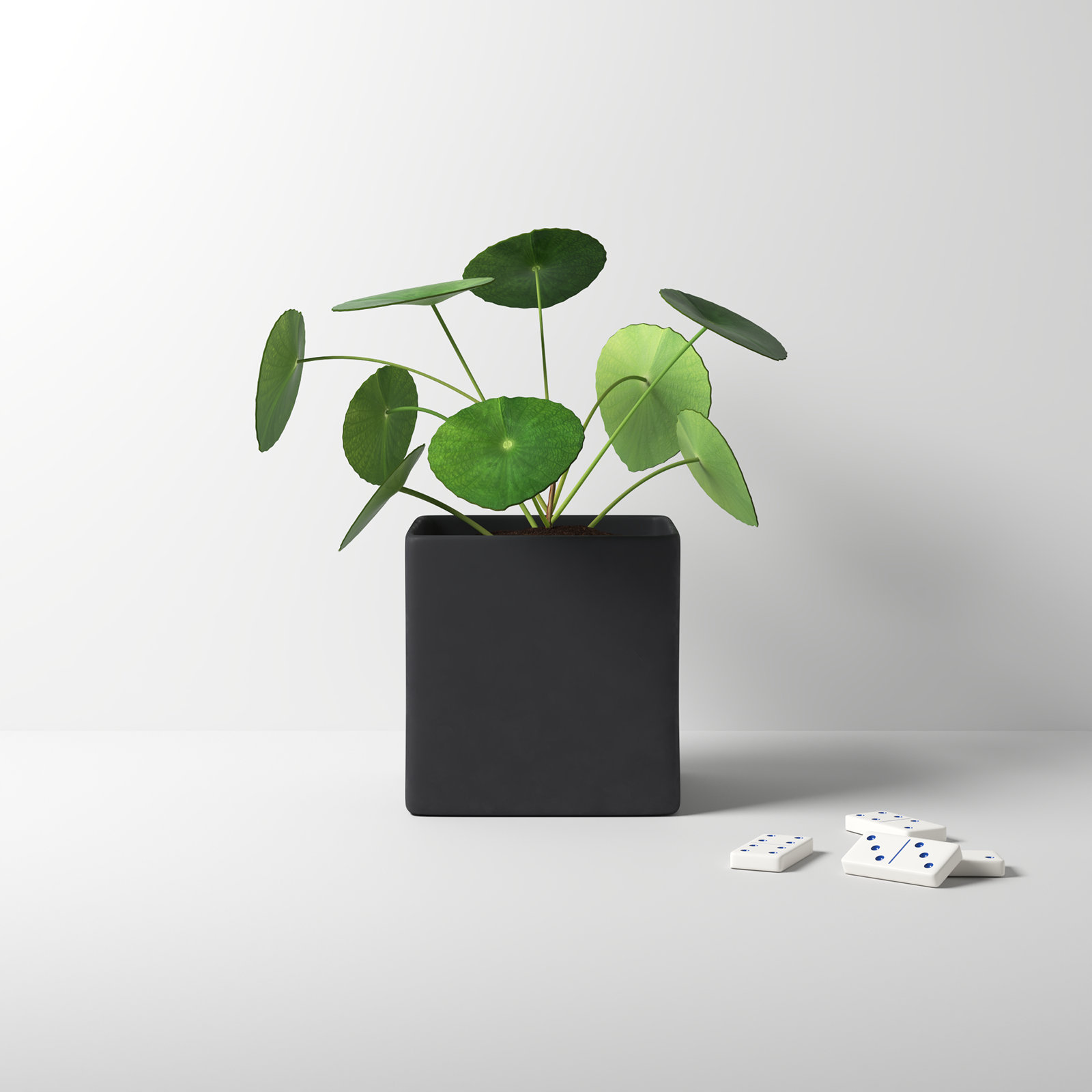 Demetria Ceramic Pot Planter, Matte Black, 5.5" H x 5.5" W x 5.5" D