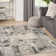 Dac Machine Woven Polyester/Polypropylene Area Rug in Cream/Grey