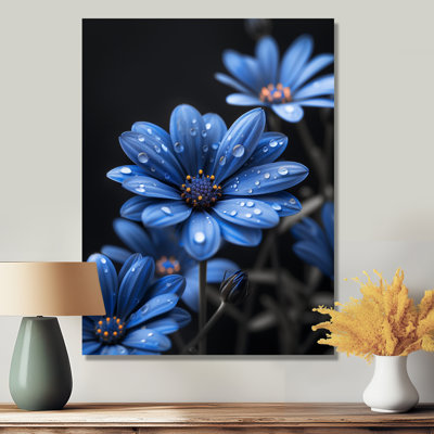 Monochromes bleus noirs, gouttes de pluie, fleurs II - marguerites, art mural