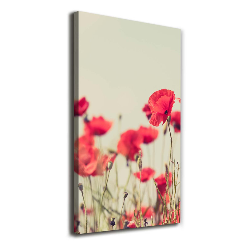 Field Poppies - Wrapped Canvas Print