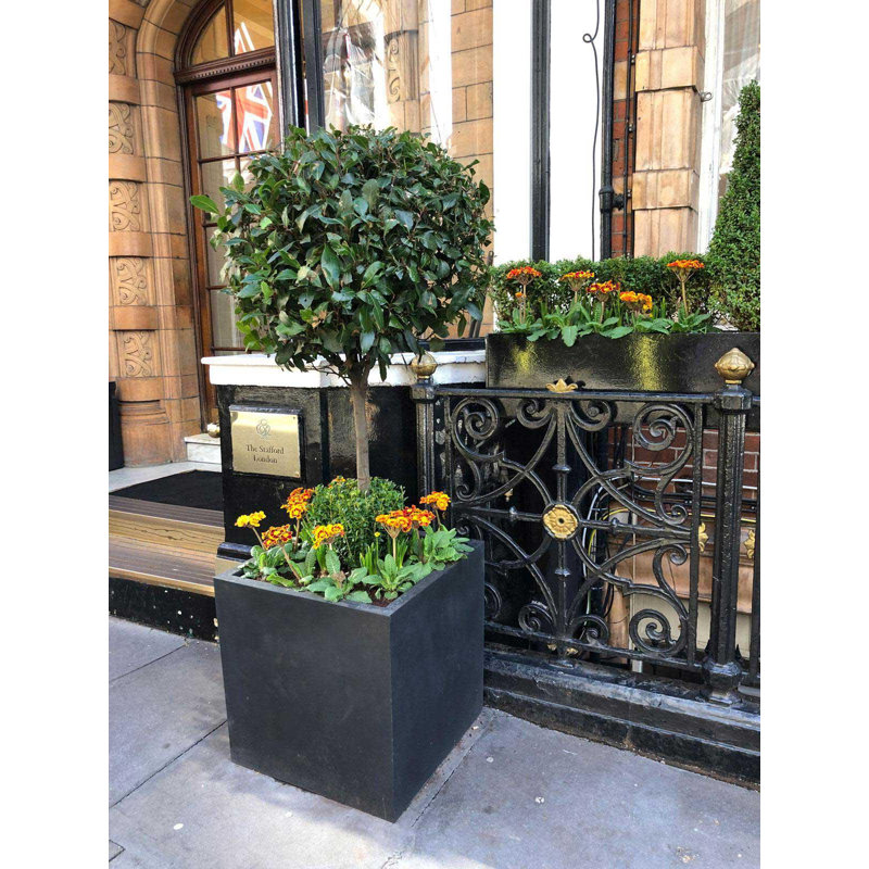 Planter Box, Dark Grey, 50.5cm H x 50cm W x 50cm D