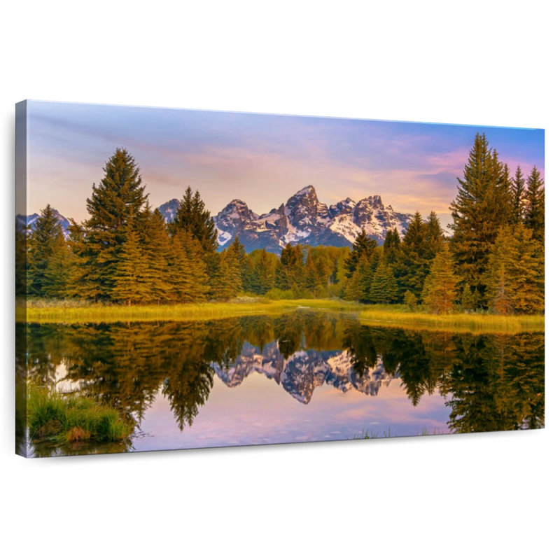 Reflet de la forêt de pins d'Alvord Grand Teton, H 16 po x l 24 po