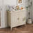2 Door Cabinet