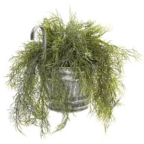 5'' Faux Moss Plant in Planter