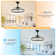 Chantrice 24" Reversible LED Ceiling Fan with Light and Remote, 6-speed Dimmable Ceiling Fan