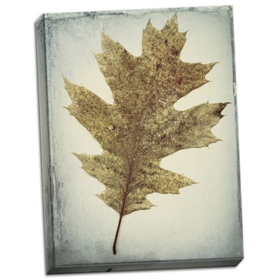" Oak Leaf " by Kathy Mahan