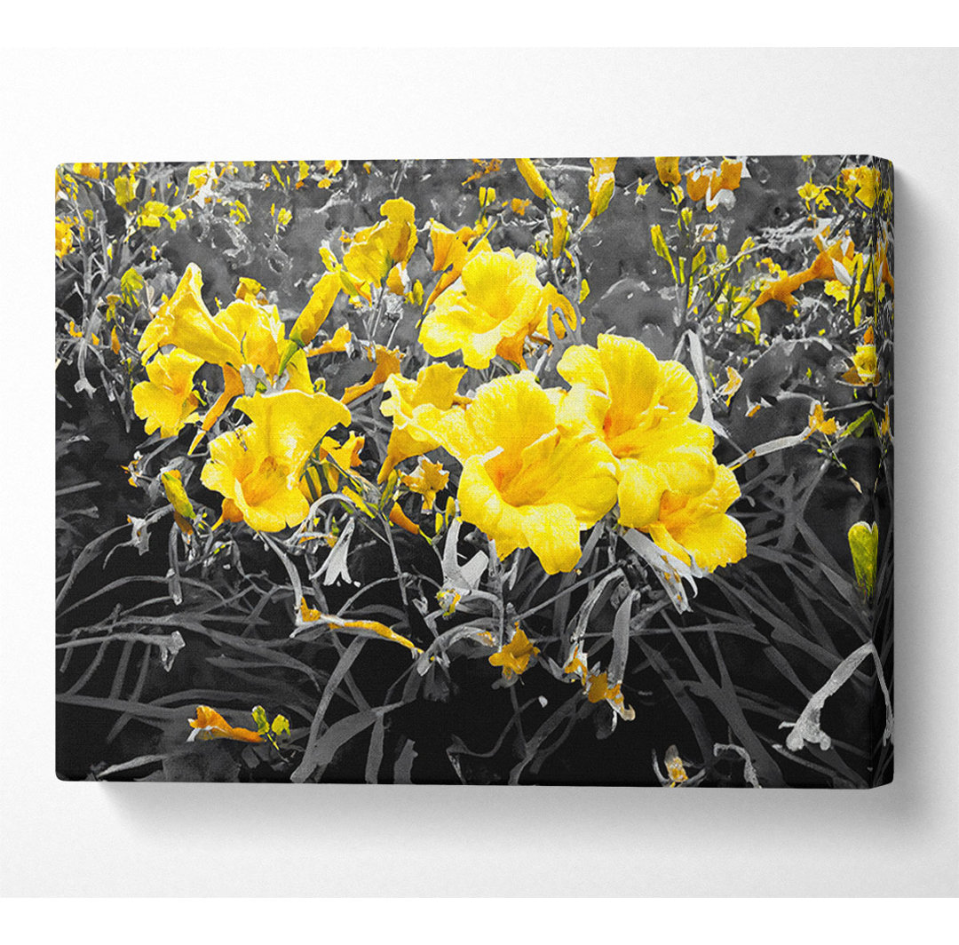 Gelbe Trompetenblumen auf B N W - Druck